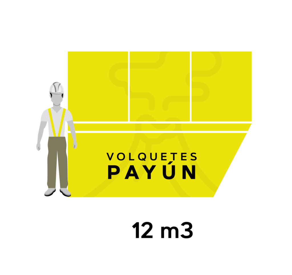 PAYUN PRODUCTOS-04